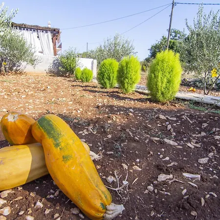 With A Swimming Pool Gustirna, Trogir - 11703 Lejlighed *
