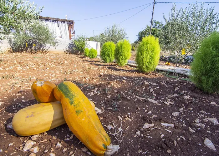 With A Swimming Pool Gustirna, Trogir - 11703 Lejlighed *